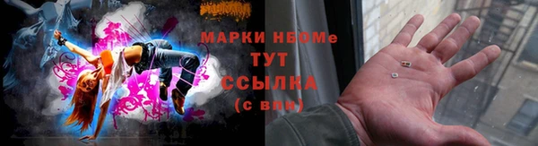 шишки Балахна