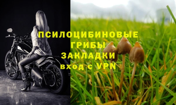гашик Балабаново