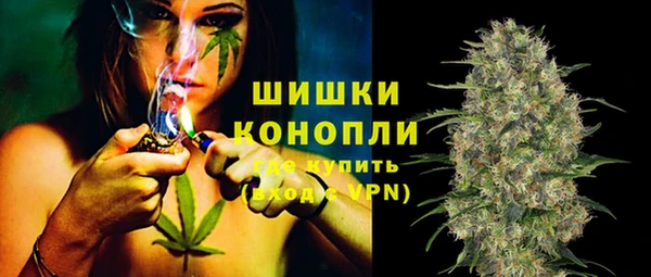 шишки Балахна