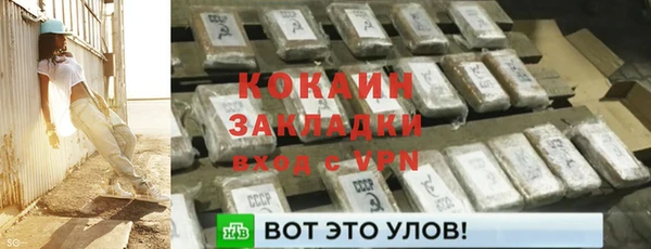 шишки Балахна